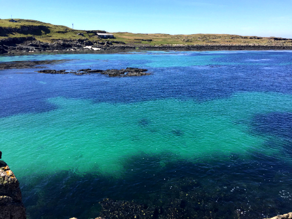 WhatsApp Image 2024-11-27 at 18.53.38_58829369