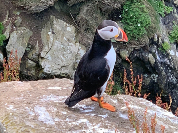 WhatsApp Image 2024-11-27 at 18.56.29_be3e39fa